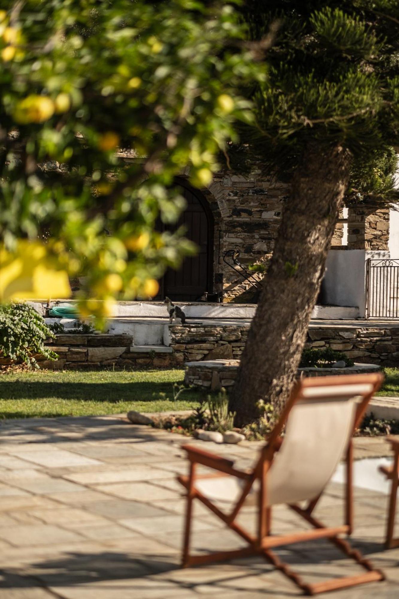 Romano Garden House - Land Tales Agios Romanos Екстер'єр фото